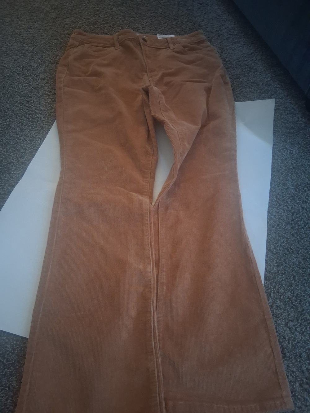 Sonoma Women's Boot Cut Corduroy Jeans in Rust Brown